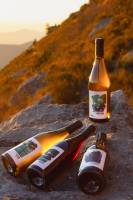 Thibaud GURY - CIMES&CINEMA